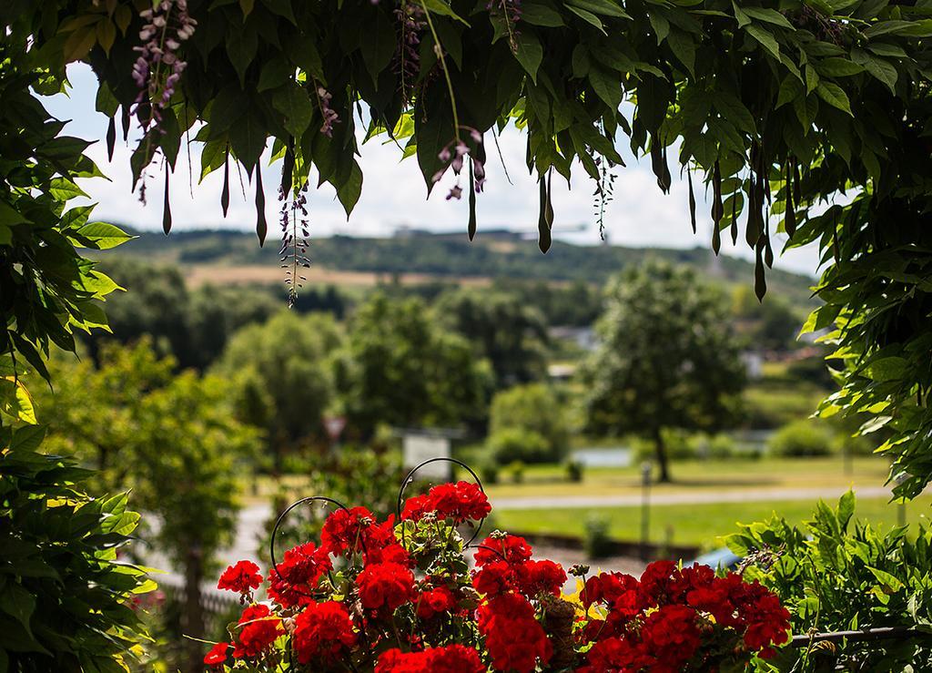 Hotel Zehnthof Ürzig Kültér fotó
