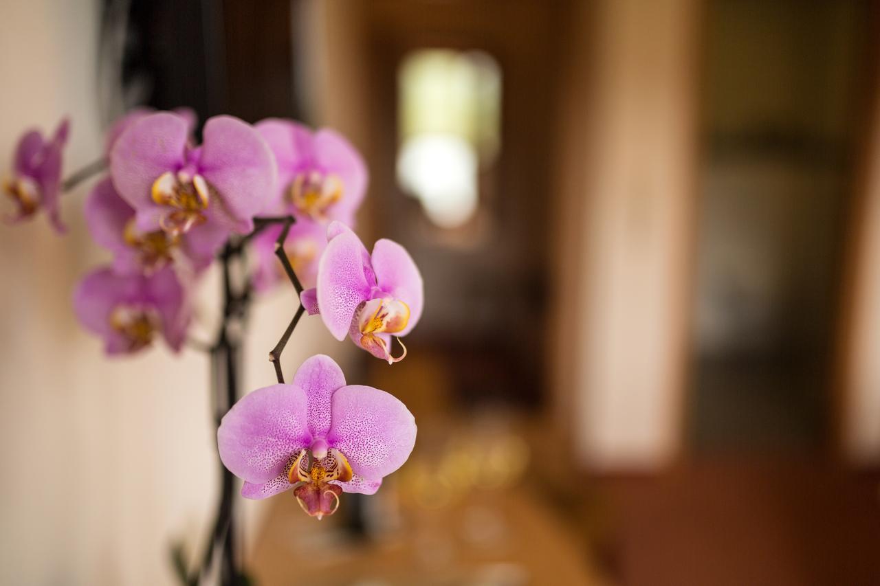 Hotel Zehnthof Ürzig Kültér fotó